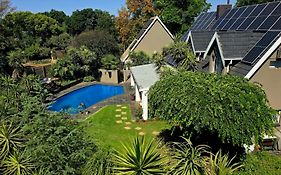 Wild Tree Lodge